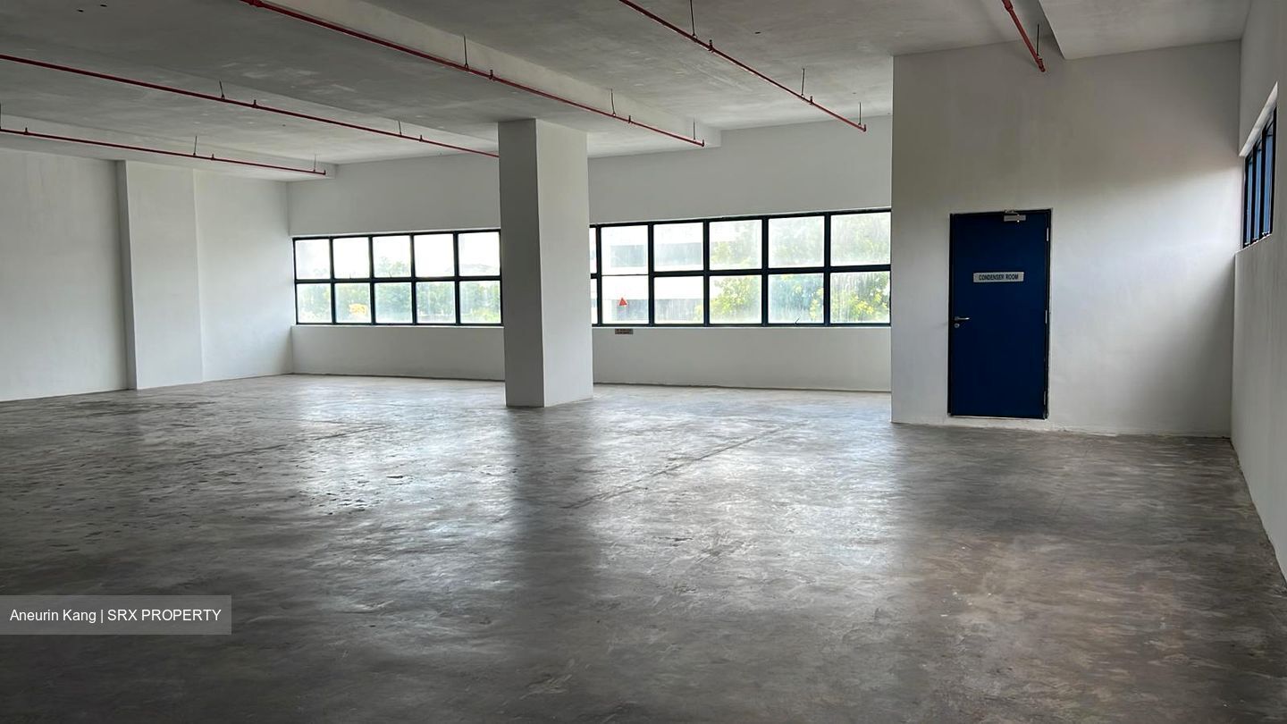 Loyang Industrial Estate (D17), Factory #439253961
